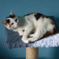 Photo of Tammy