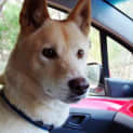 Photo of Delta