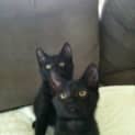 Photo of Zelda