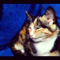 Photo of Charlotte