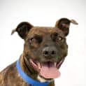 Photo of Xena