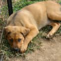 Photo of Heidi