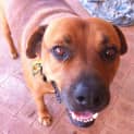 Photo of Rex