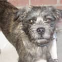 Photo of Maverick