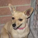 Photo of Rosie