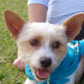 Photo of Merv