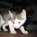 Photo of Sonny