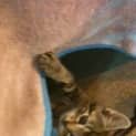 Photo of Timothy