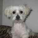 Photo of Carissa