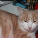Photo of Meggsie