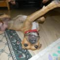 Photo of Macy
