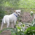 Photo of Skippy