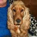 Photo of Meeka
