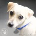 Photo of Skippy