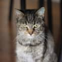 Photo of Asia