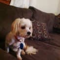 Photo of Izzy