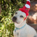 Photo of Elsie