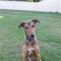 Photo of Riley