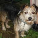 Photo of Max