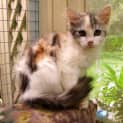 Photo of Mae