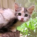 Photo of Mae
