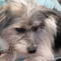 Photo of Turbo