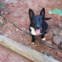Photo of Jasmine