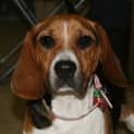 Photo of Evie