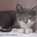 Photo of Millaady & Millaassie