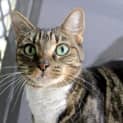 Photo of Portia