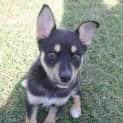 Photo of Selene
