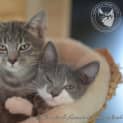 Photo of Millaady & Millaassie