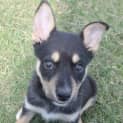 Photo of Selene