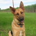 Photo of Max