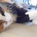 Photo of Sheila