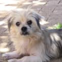 Photo of Bronte