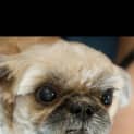 Photo of Billy Bob