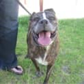 Photo of Sweetie