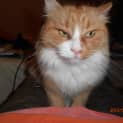 Photo of Miss Pretty