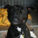 Photo of Jazz