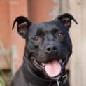 Photo of Jazz
