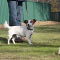 Photo of Taz
