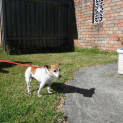 Photo of Bonnie