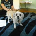 Photo of Max