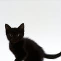 Photo of Squiggly