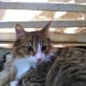 Photo of Luca