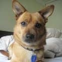 Photo of Jake
