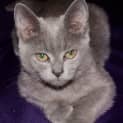 Photo of Tatiana