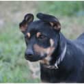 Photo of Hooch