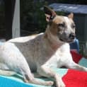 Photo of Sol Is Trying A New Home!!